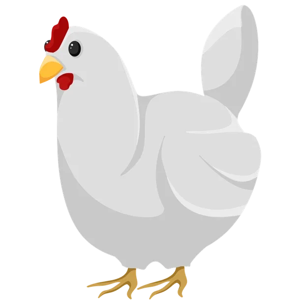 Chicken NR