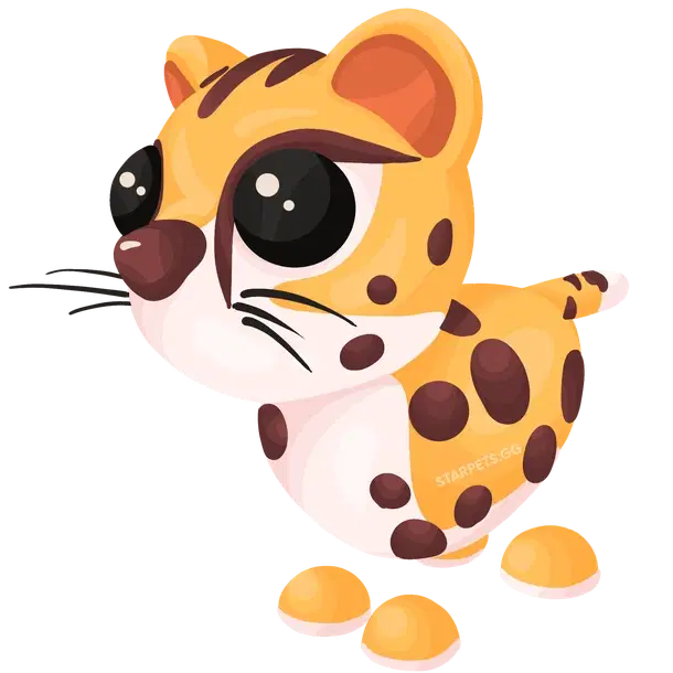 Cheetah R