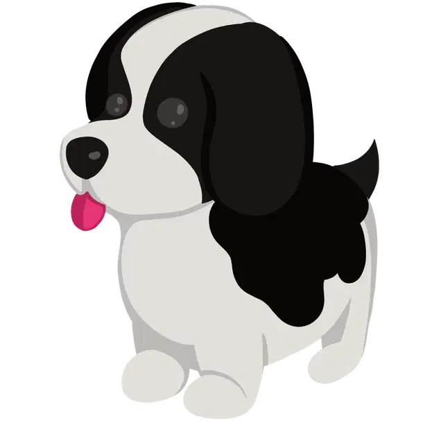 Black Springer Spaniel MFR