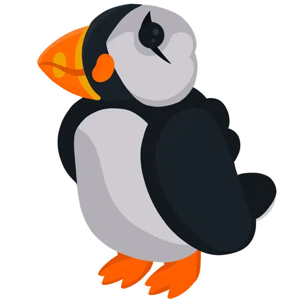 Puffin R