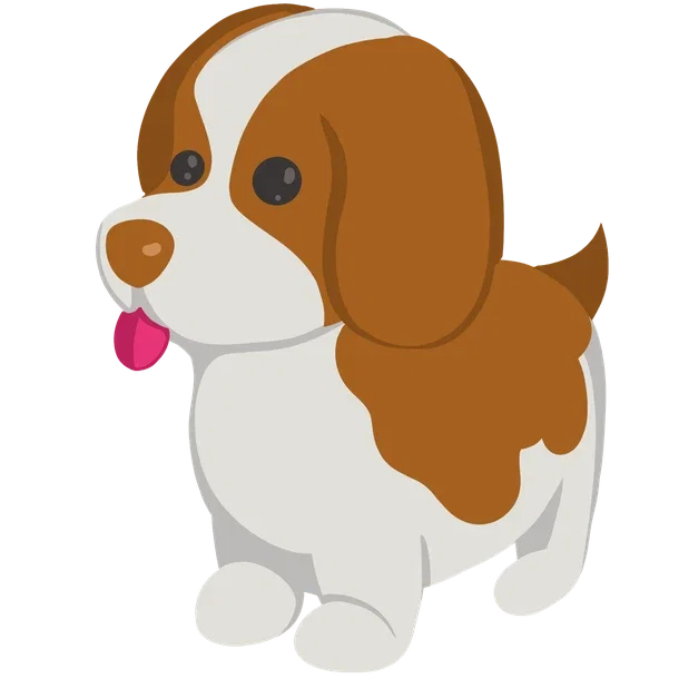 Brown Springer Spaniel MR