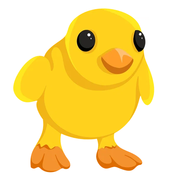 Chick NFR