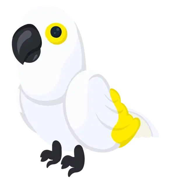 White Amazon FR