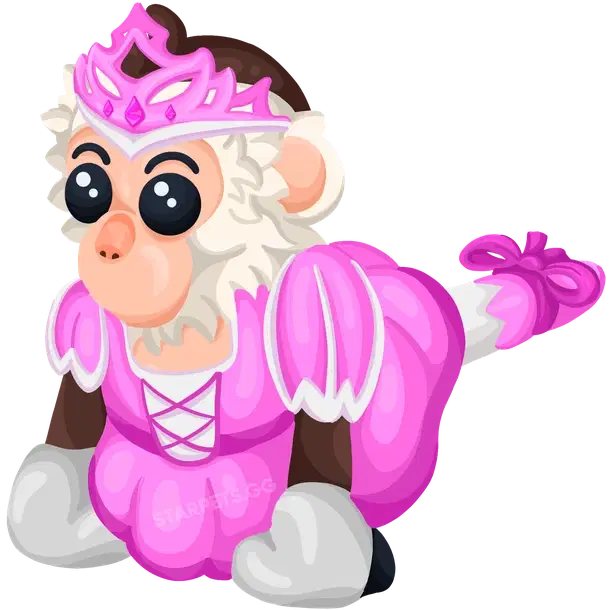 Princess Capuchin Monkey N