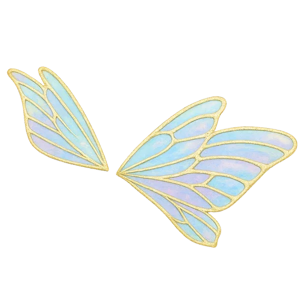 Dragonfly Fairy Wings