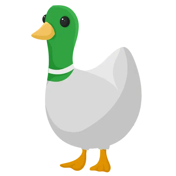 Silly Duck R