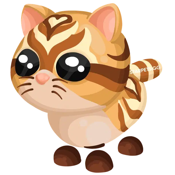 Catte R