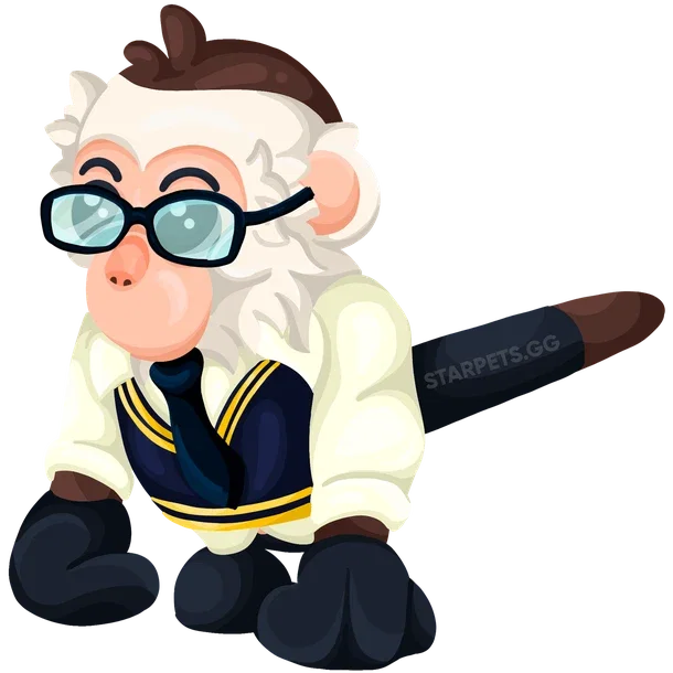 Preppy Capuchin Monkey M