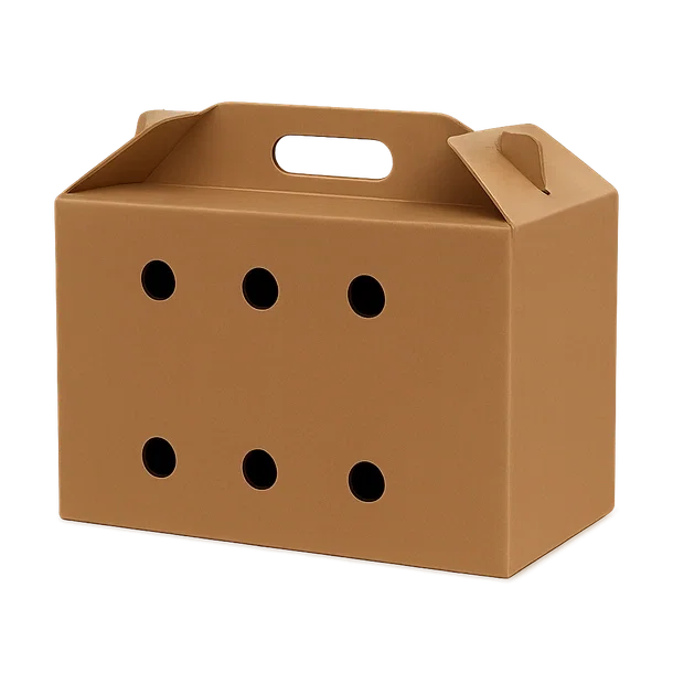 Rat Box