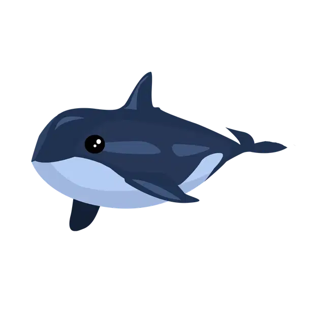 Orca R