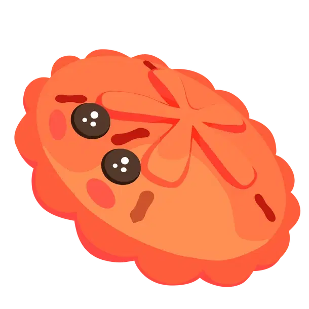 Red Sand Dollar NFR