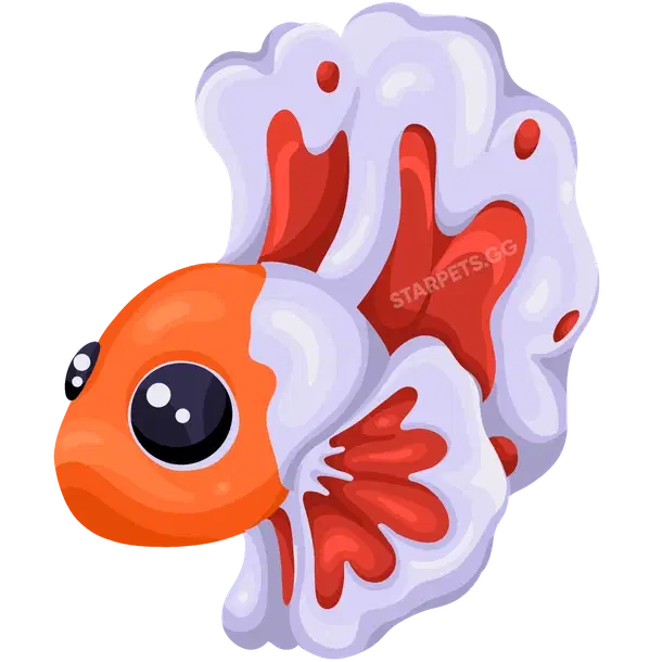 Orange Betta Fish MFR