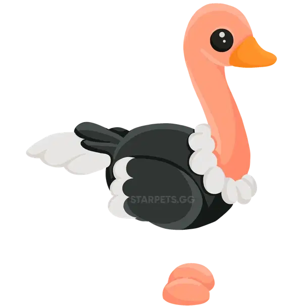 Ostrich FR
