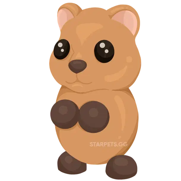 Quokka NR