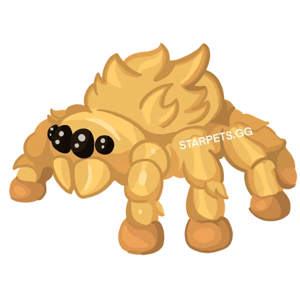 Jumping Spider NF