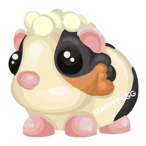 Tortoiseshell Guinea Pig MFR