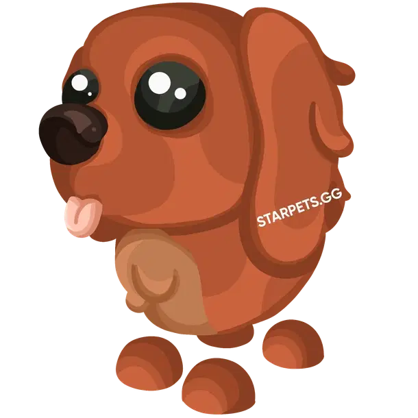Irish Setter M