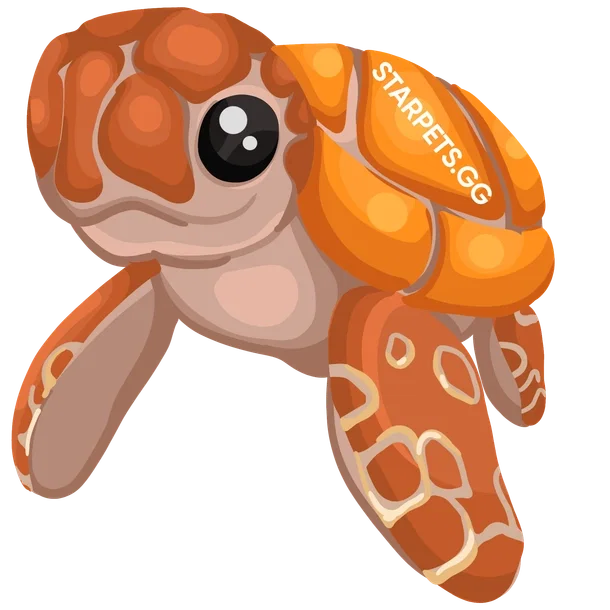 Sea Turtle M