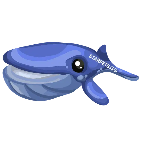 Blue Whale M