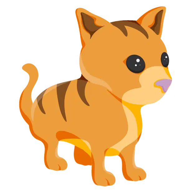 Ginger Cat NFR