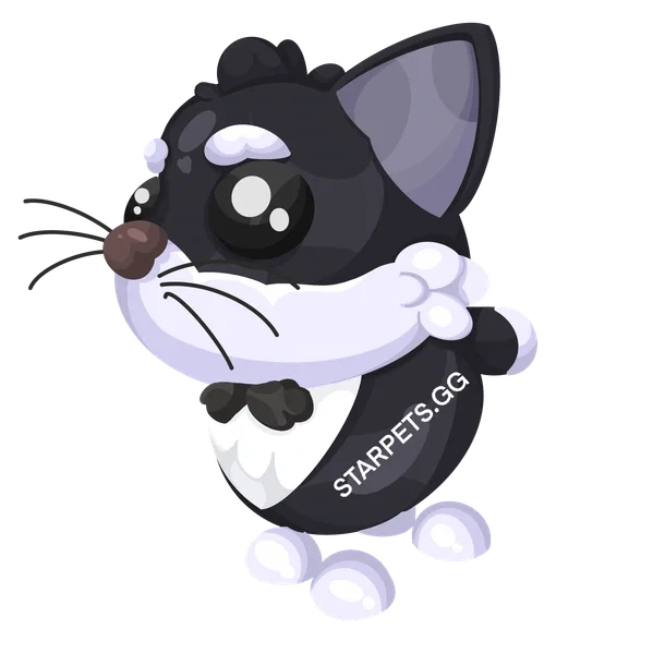 Tuxedo Cat R