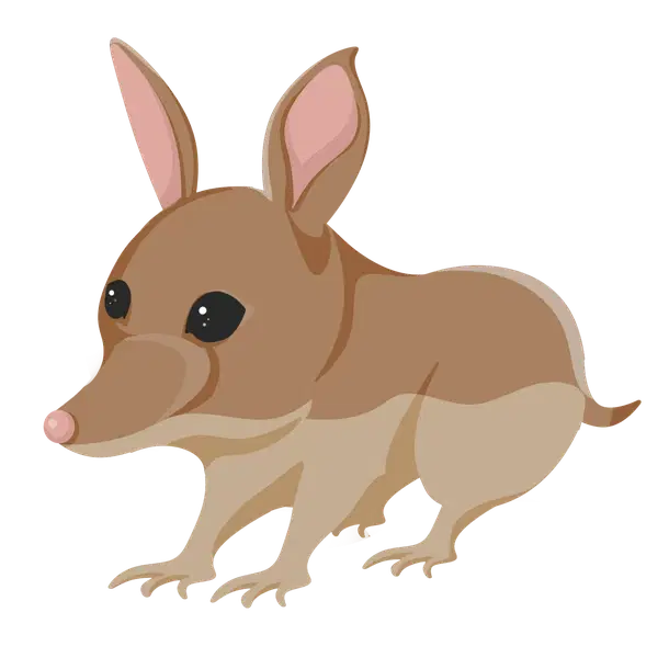Bandicoot MR