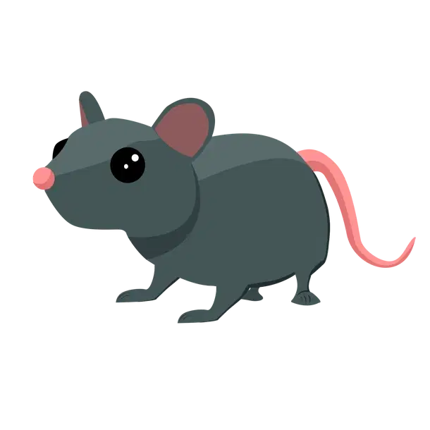 Rat NFR