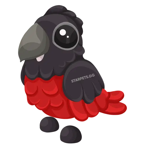 Dracula Parrot N