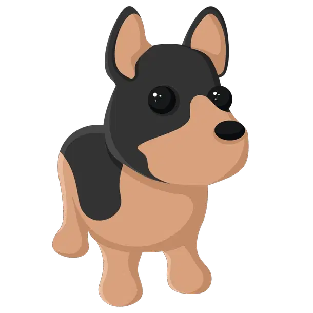 Australian Kelpie N