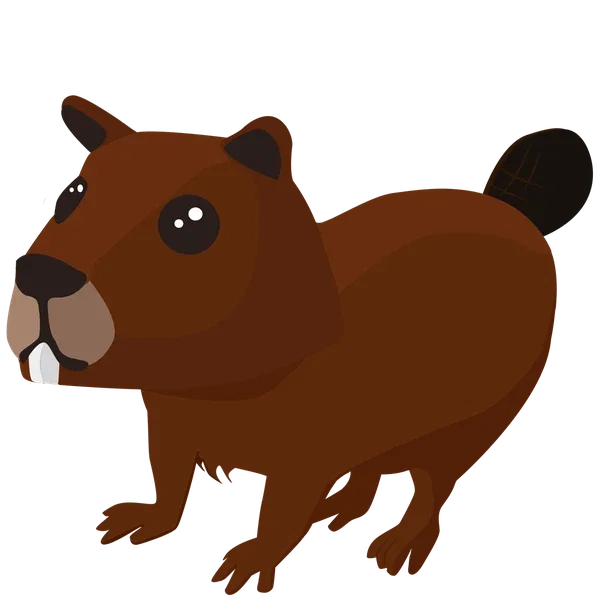 Beaver MR