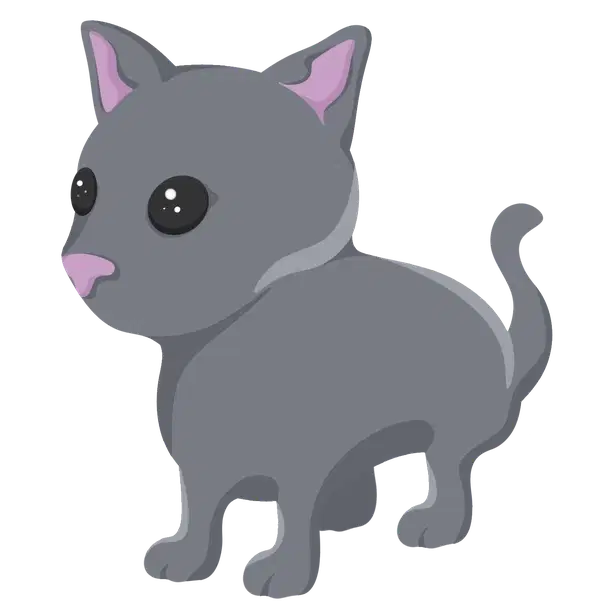 Cat NFR