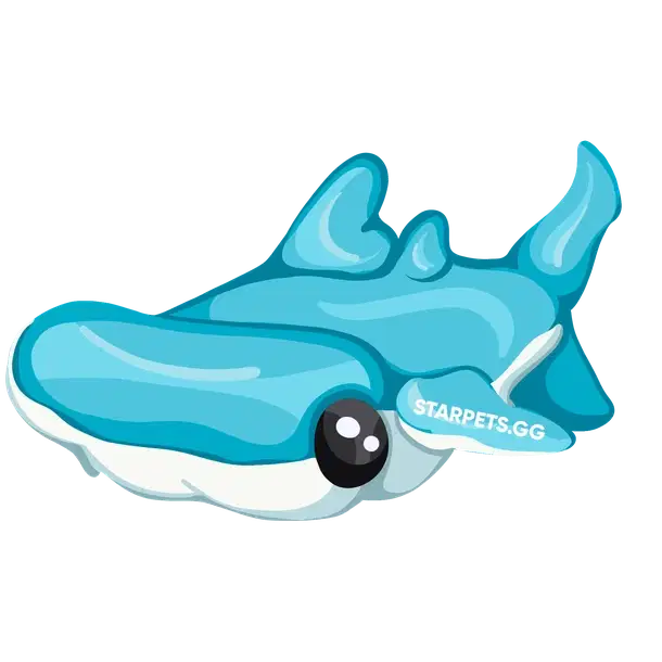 Hammerhead Shark R