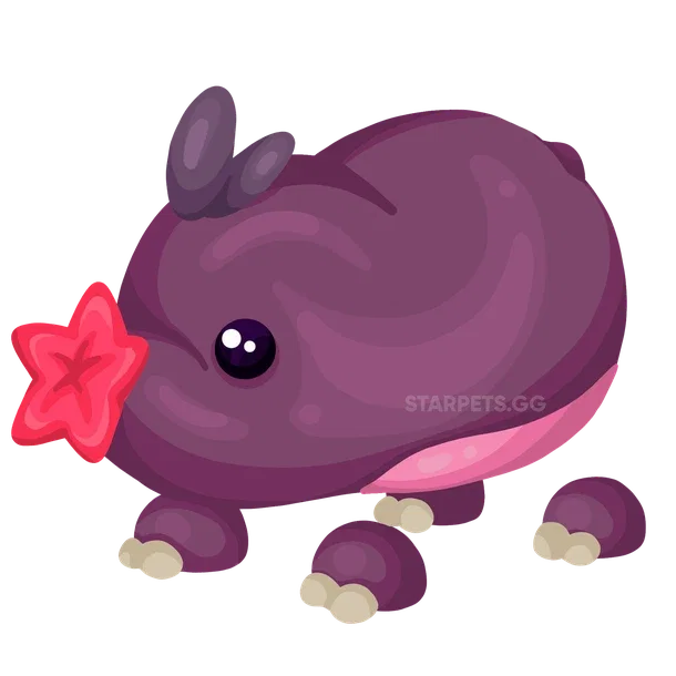 Mole NFR