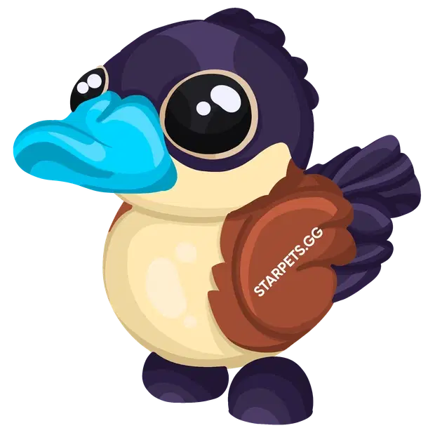 Ruddy Duck MR