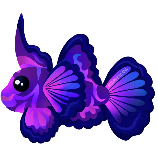 Singularity Pisces R