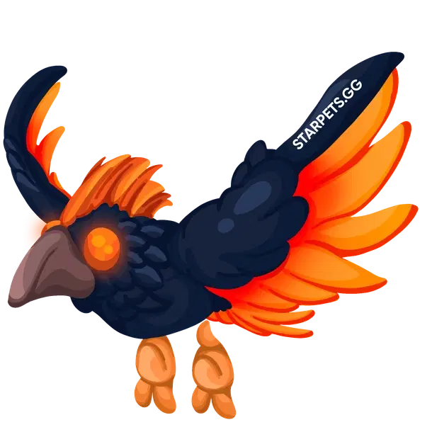 Storm Condor MR