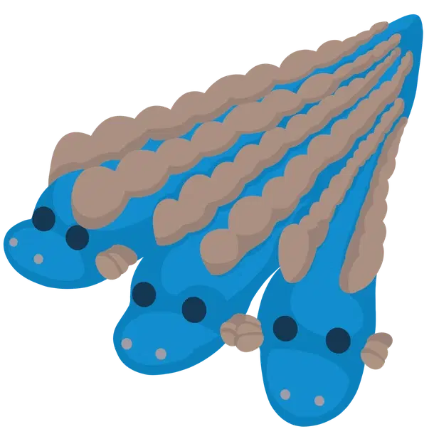 Hydra NF