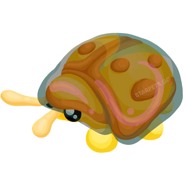 Golden Tortoise Beetle NR