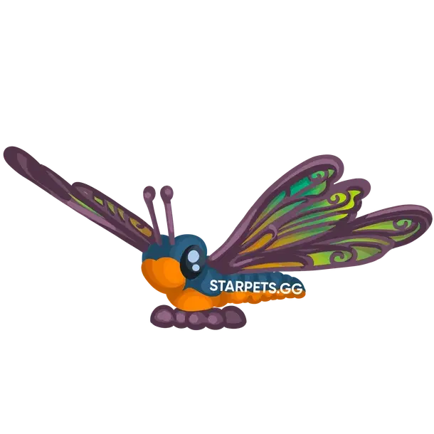 Clubtail Dragonfly F