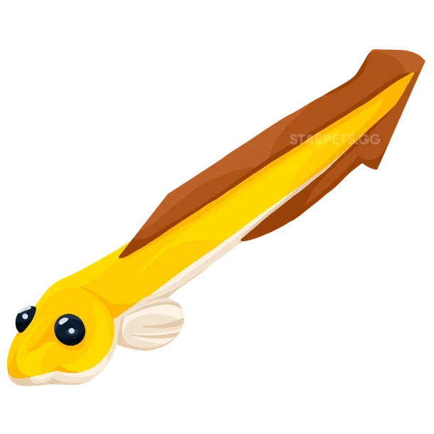 Eel FR