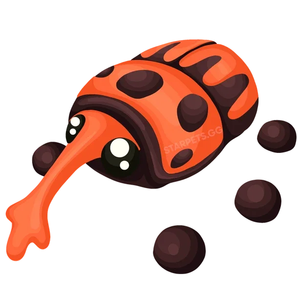 Weevil N