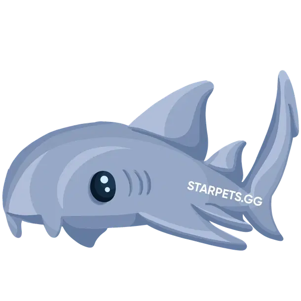 Nurse Shark NFR