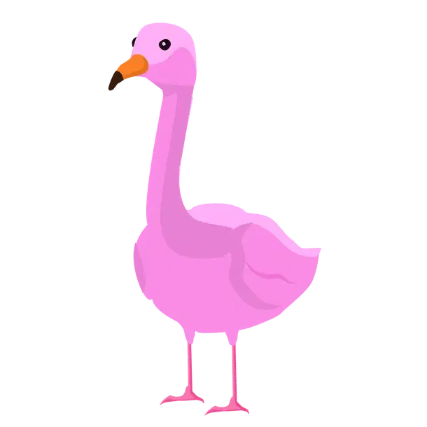 Flamingo F