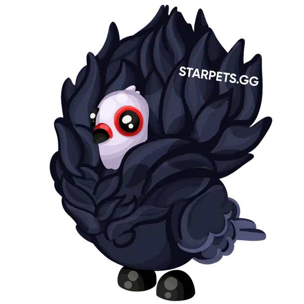 Jacobin Pigeon MF