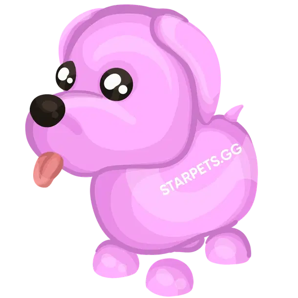 Pink Dog N