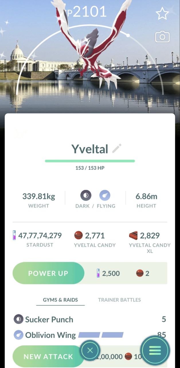 ✨Shiny Yveltal Tainan Background - Trade20K/1M ( Read Description ) ✨