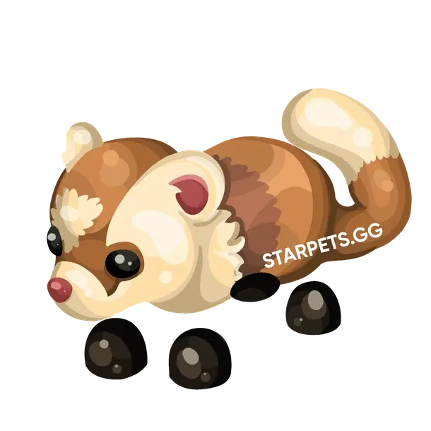Black-Footed Ferret R