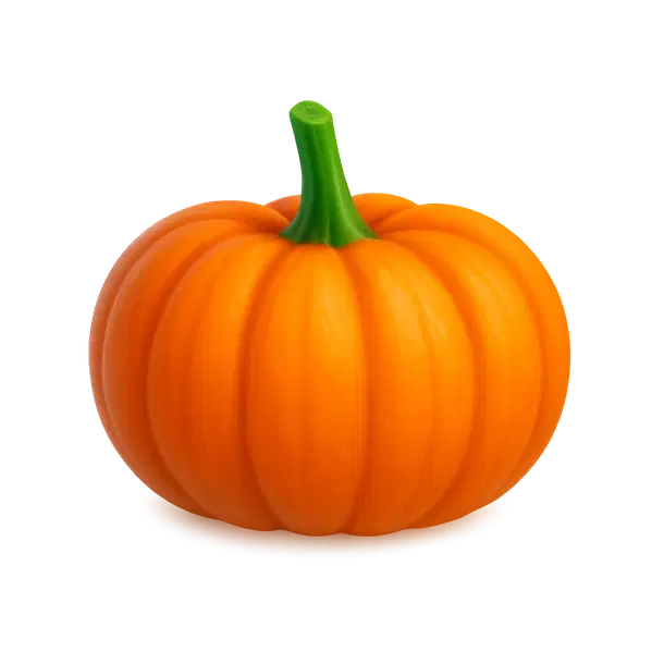 Eco Orange Pumpkin Eyepatch