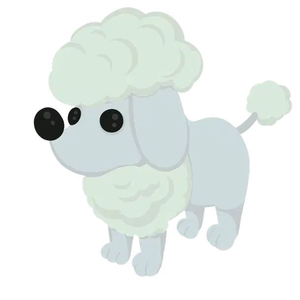 Poodle N