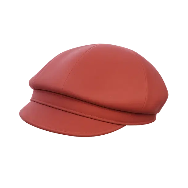 Brim Beanie